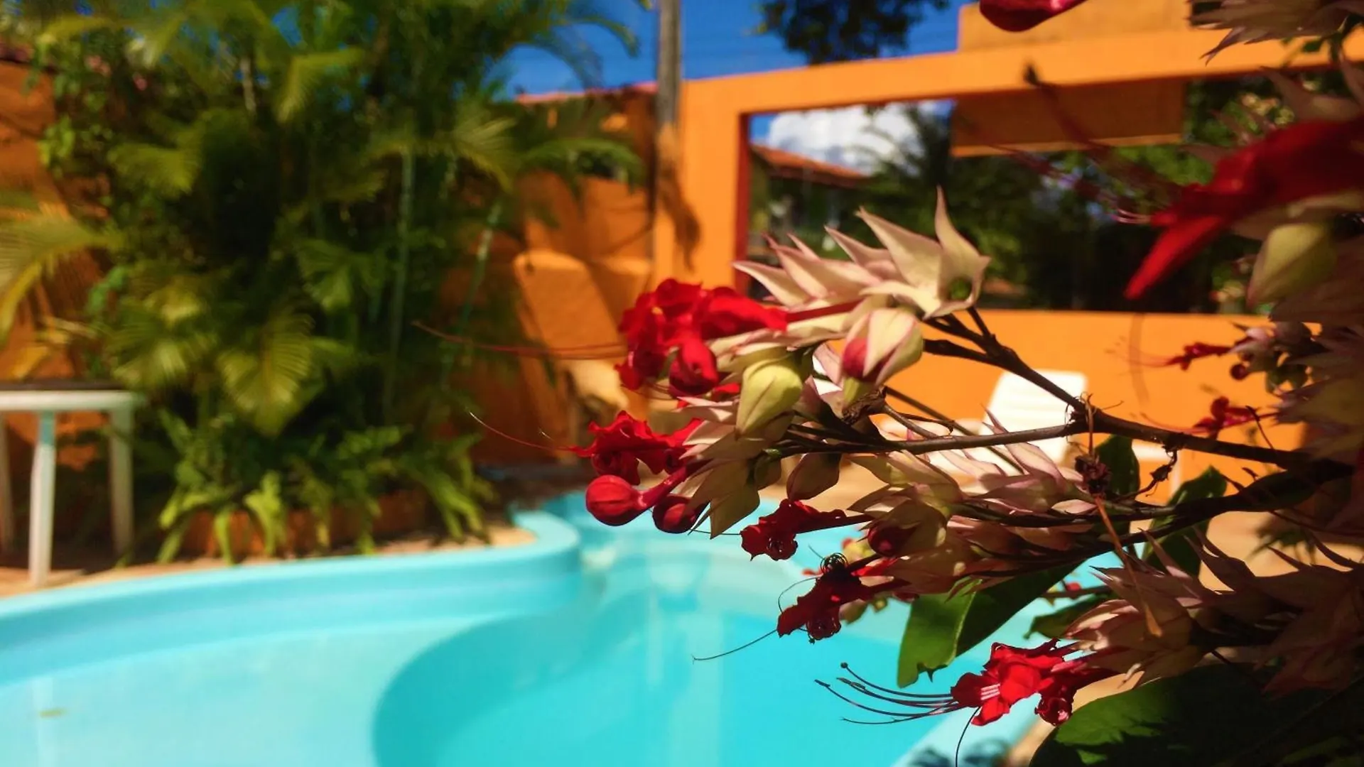 4 Hotéis Perto do Quadrado em Porto Seguro para Reservar